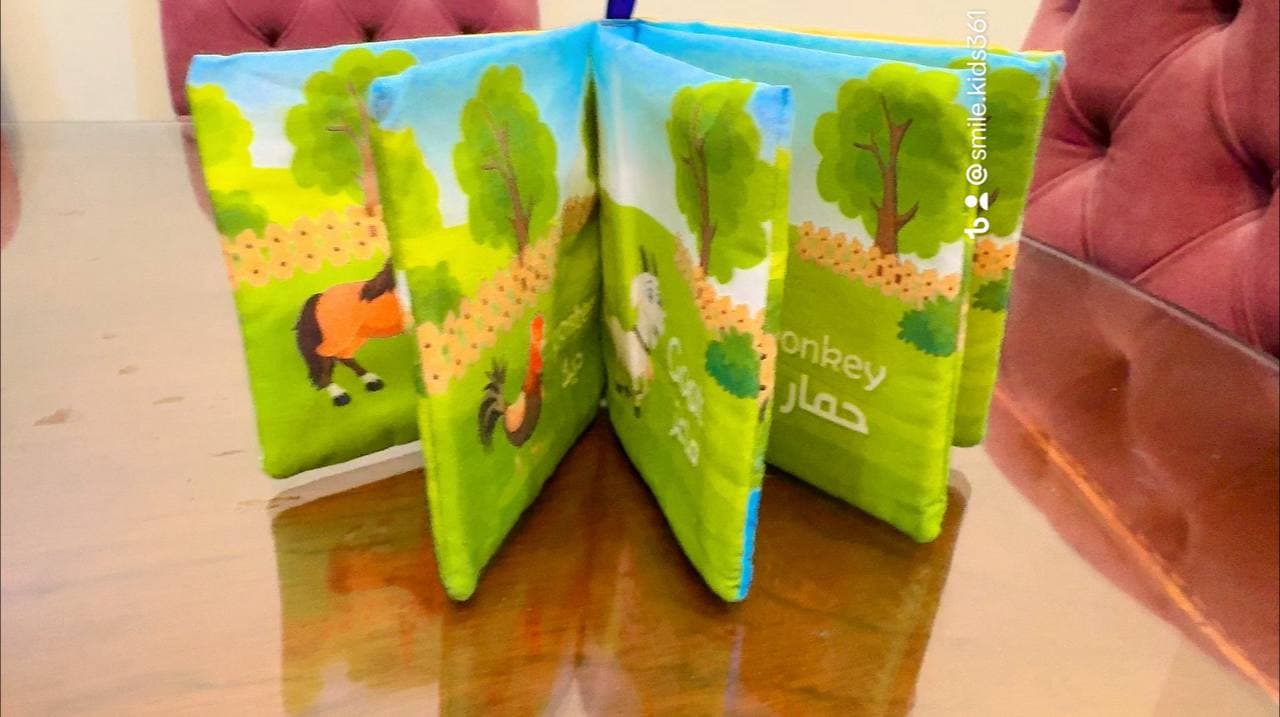 كتاب سوفت الصفوه